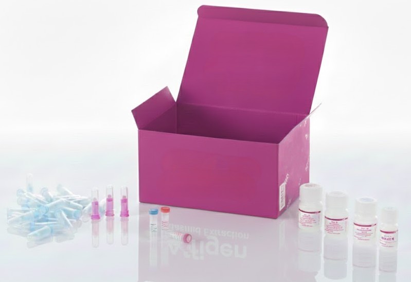 [0131-BR1505e] Matriz de tejido para cáncer de mama, incluyendo grado patológico, TNM, estadio clínico e IHC (HER2/ER/PR/Ki67), 75 casos/150 núcleos, sustituye a BR1505d