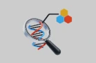 MedicalDesignPk